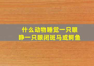 什么动物睡觉一只眼睁一只眼闭斑马或鳄鱼