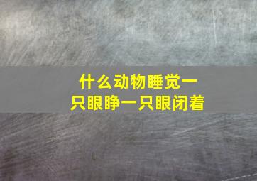 什么动物睡觉一只眼睁一只眼闭着