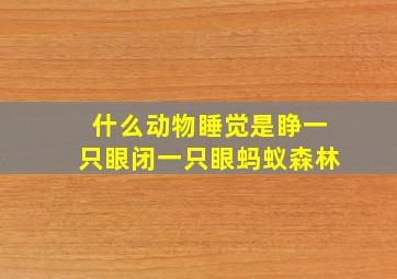 什么动物睡觉是睁一只眼闭一只眼蚂蚁森林