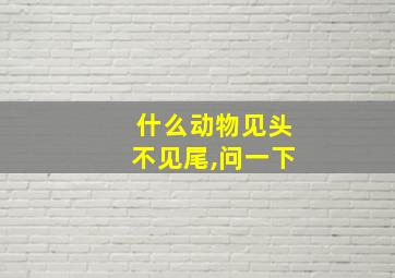 什么动物见头不见尾,问一下