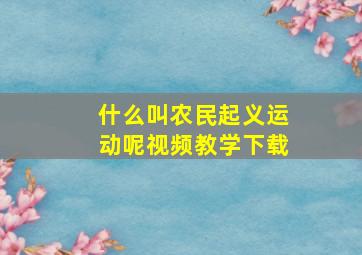 什么叫农民起义运动呢视频教学下载