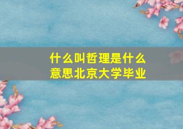 什么叫哲理是什么意思北京大学毕业