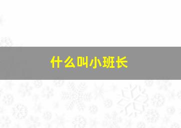 什么叫小班长