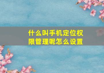 什么叫手机定位权限管理呢怎么设置