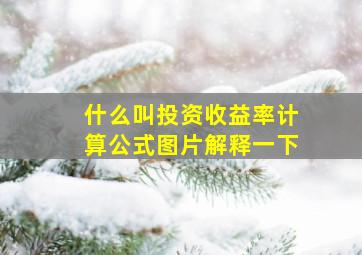 什么叫投资收益率计算公式图片解释一下