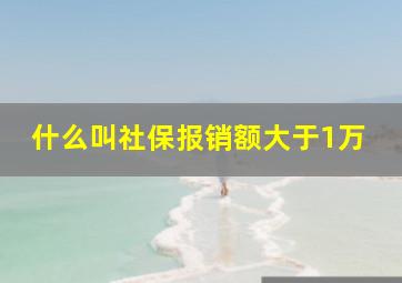 什么叫社保报销额大于1万