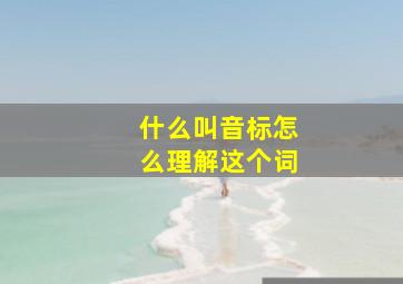 什么叫音标怎么理解这个词