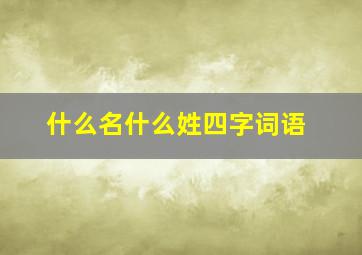 什么名什么姓四字词语