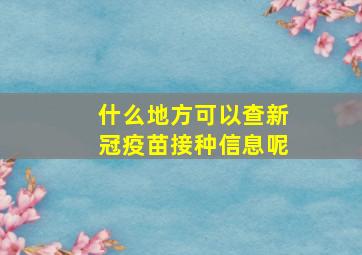 什么地方可以查新冠疫苗接种信息呢