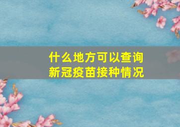 什么地方可以查询新冠疫苗接种情况