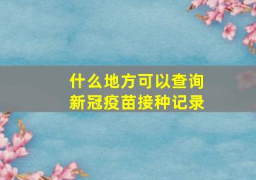 什么地方可以查询新冠疫苗接种记录