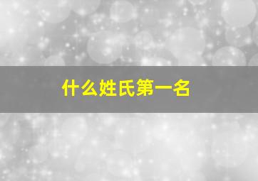 什么姓氏第一名