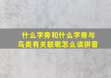 什么字旁和什么字旁与鸟类有关联呢怎么读拼音