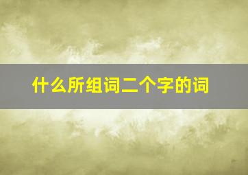 什么所组词二个字的词