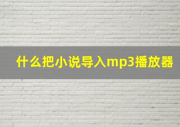 什么把小说导入mp3播放器