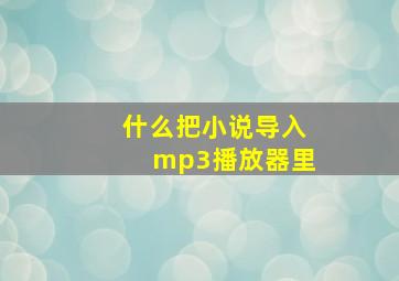 什么把小说导入mp3播放器里