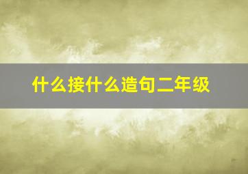 什么接什么造句二年级