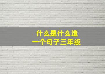 什么是什么造一个句子三年级