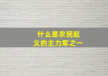 什么是农民起义的主力军之一