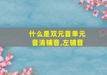 什么是双元音单元音清辅音,左辅音