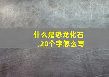 什么是恐龙化石,20个字怎么写