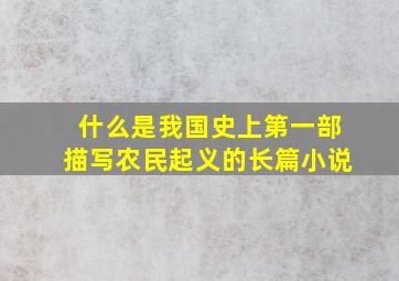 什么是我国史上第一部描写农民起义的长篇小说