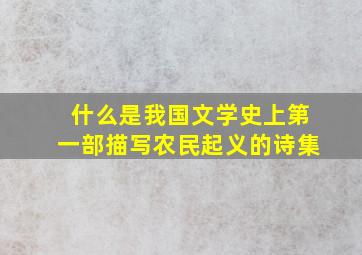 什么是我国文学史上第一部描写农民起义的诗集