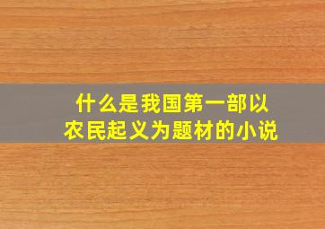 什么是我国第一部以农民起义为题材的小说