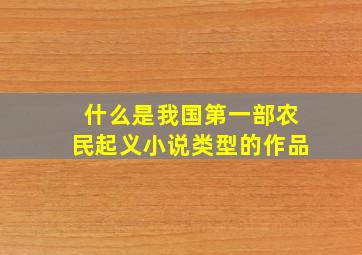 什么是我国第一部农民起义小说类型的作品