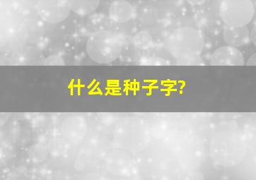 什么是种子字?