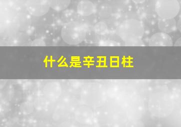 什么是辛丑日柱