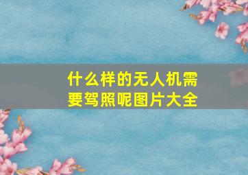 什么样的无人机需要驾照呢图片大全