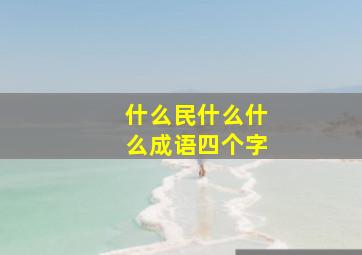 什么民什么什么成语四个字