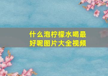 什么泡柠檬水喝最好呢图片大全视频