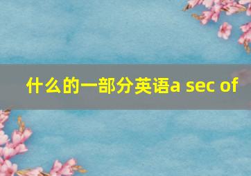 什么的一部分英语a sec of