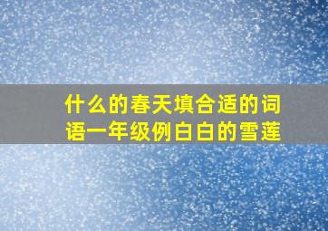 什么的春天填合适的词语一年级例白白的雪莲