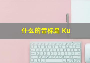 什么的音标是 Ku