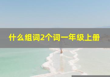 什么组词2个词一年级上册