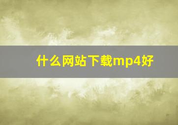 什么网站下载mp4好