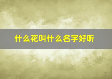 什么花叫什么名字好听