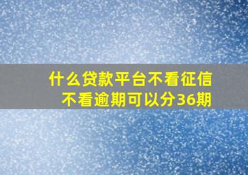 什么贷款平台不看征信不看逾期可以分36期