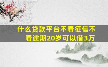 什么贷款平台不看征信不看逾期20岁可以借3万