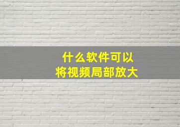 什么软件可以将视频局部放大