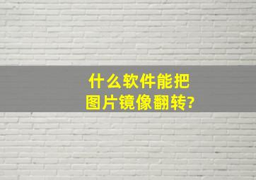 什么软件能把图片镜像翻转?