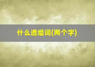 什么透组词(两个字)