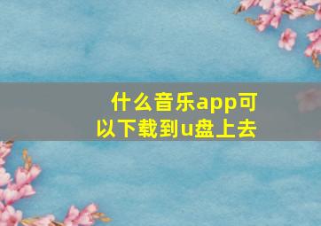 什么音乐app可以下载到u盘上去