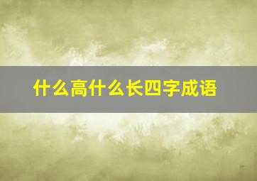 什么高什么长四字成语