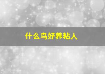 什么鸟好养粘人