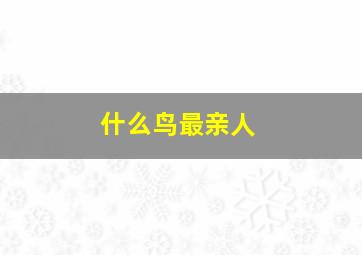 什么鸟最亲人