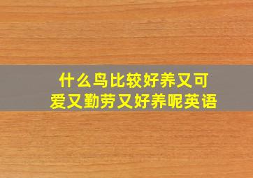 什么鸟比较好养又可爱又勤劳又好养呢英语